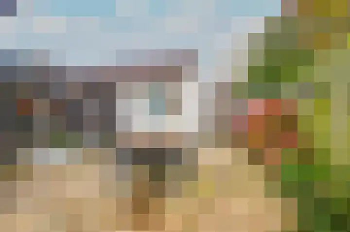 Kruiszwin 2331 Julianadorp thumbnail 36
