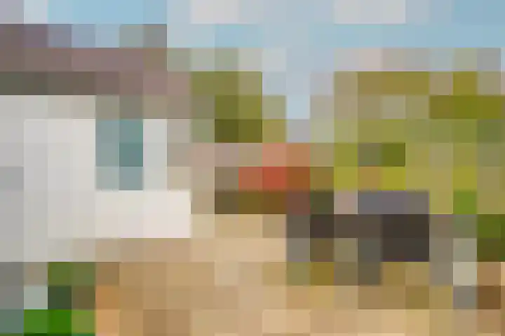 Kruiszwin 2331 Julianadorp thumbnail 37