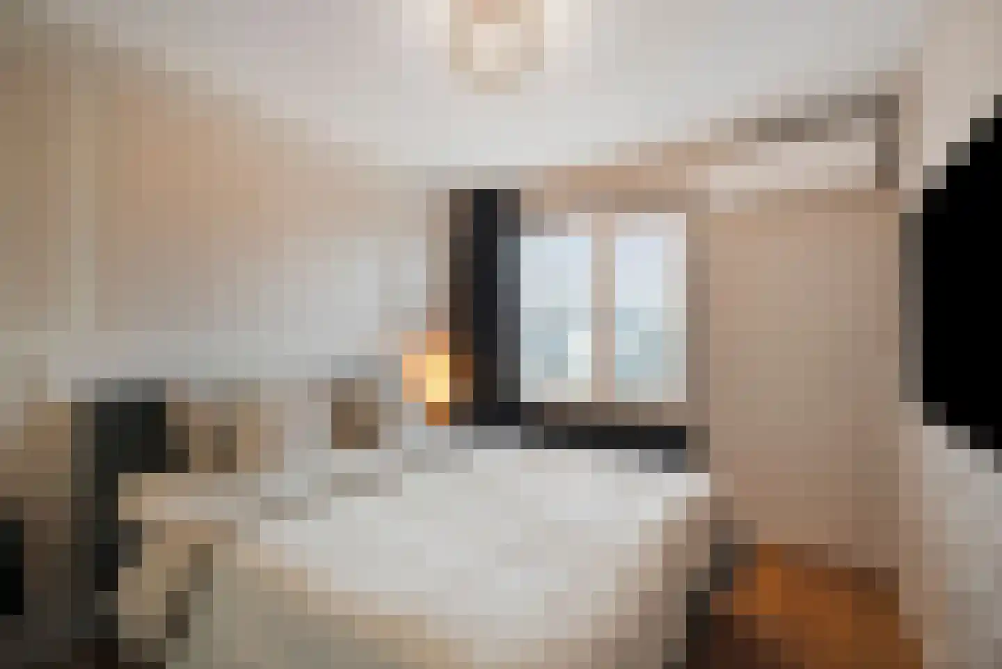 Kruiszwin 2373 Julianadorp thumbnail 21