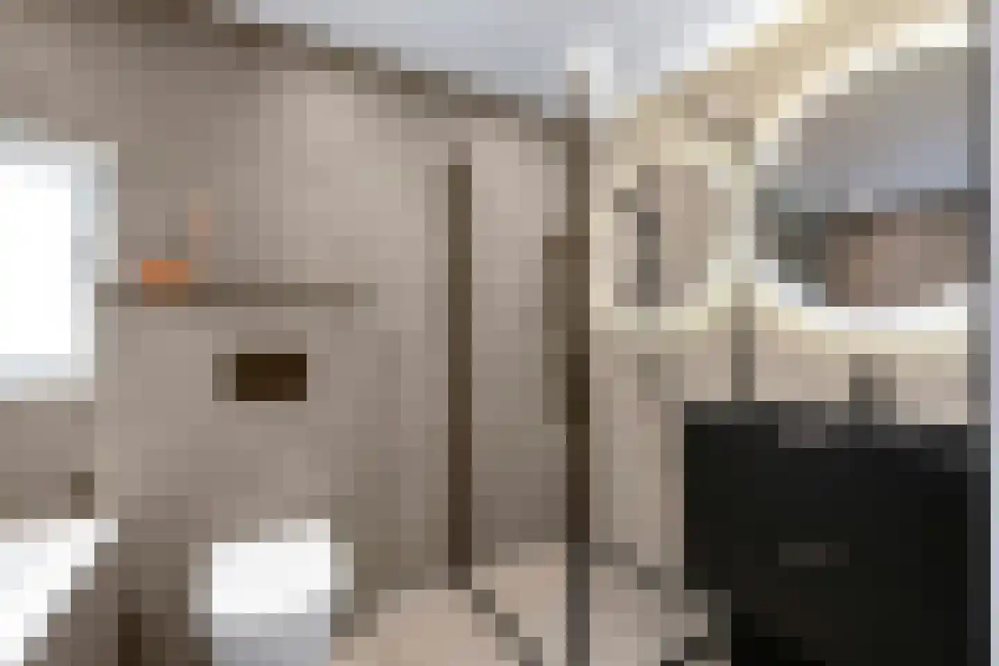 Kruiszwin 2373 Julianadorp thumbnail 31