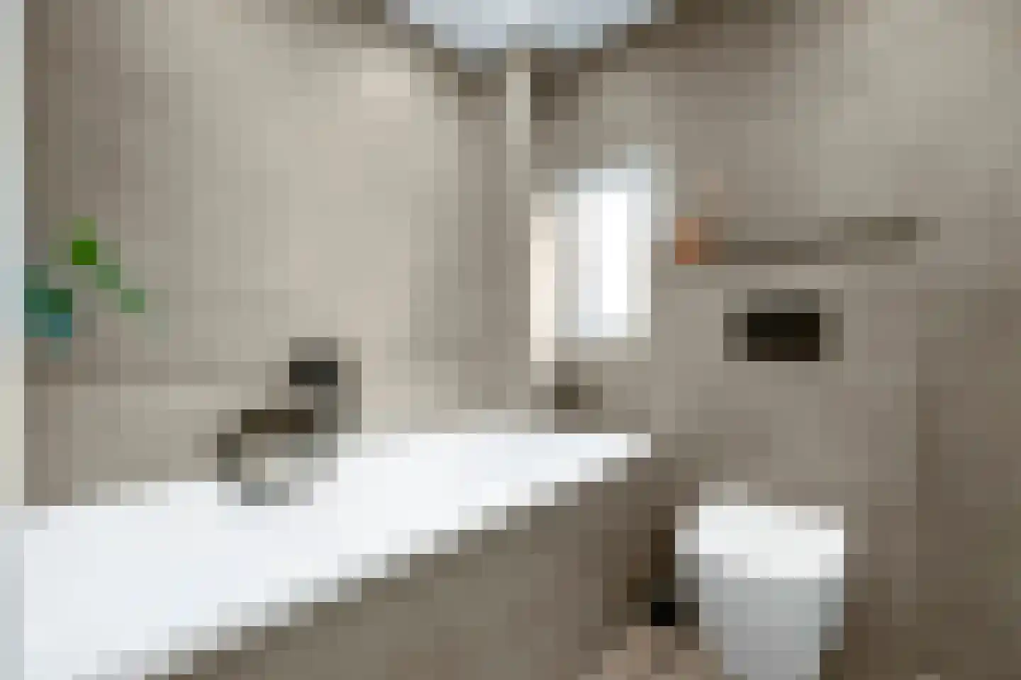 Kruiszwin 2373 Julianadorp thumbnail 32