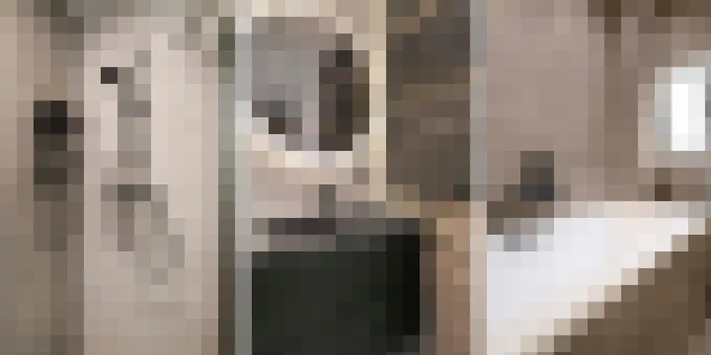 Kruiszwin 2373 Julianadorp thumbnail 33