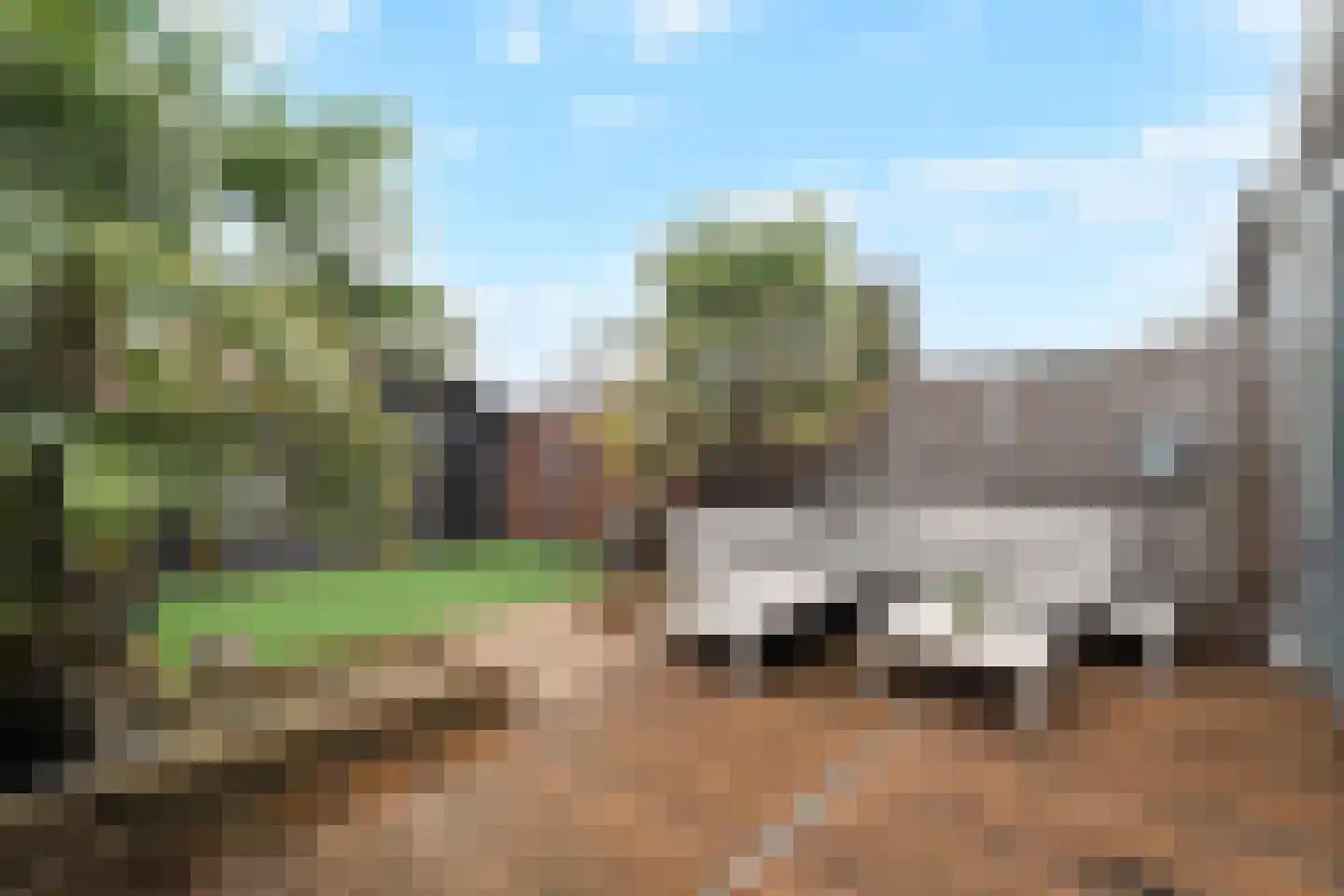 Kruiszwin 2373 Julianadorp thumbnail 41