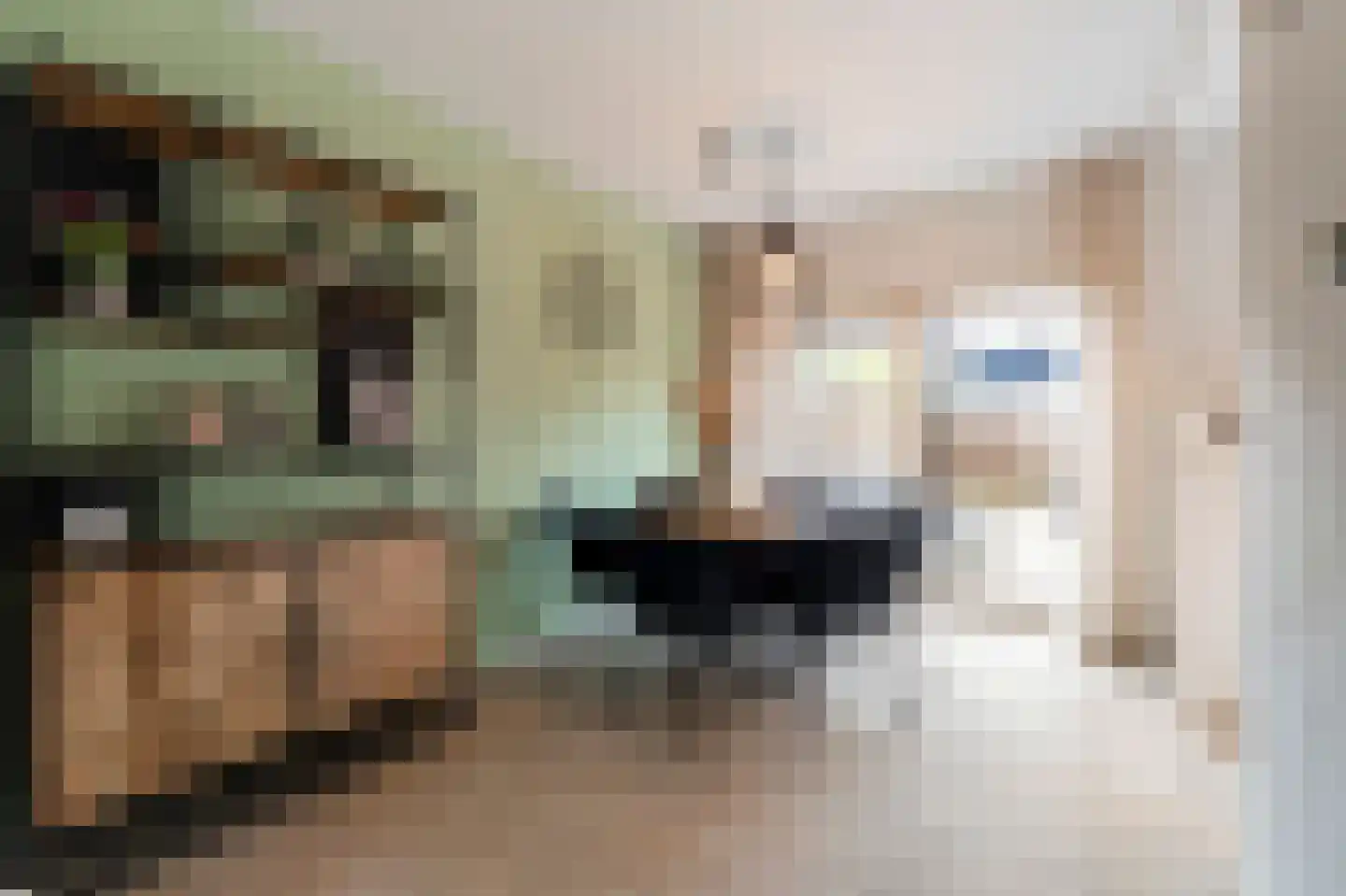 Kruiszwin 3119 Julianadorp thumbnail 10