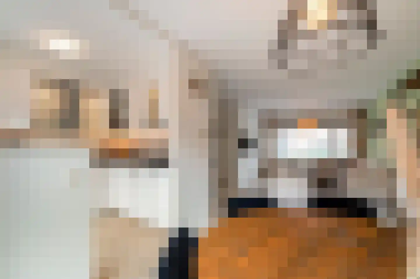 Kruiszwin 3119 Julianadorp thumbnail 11