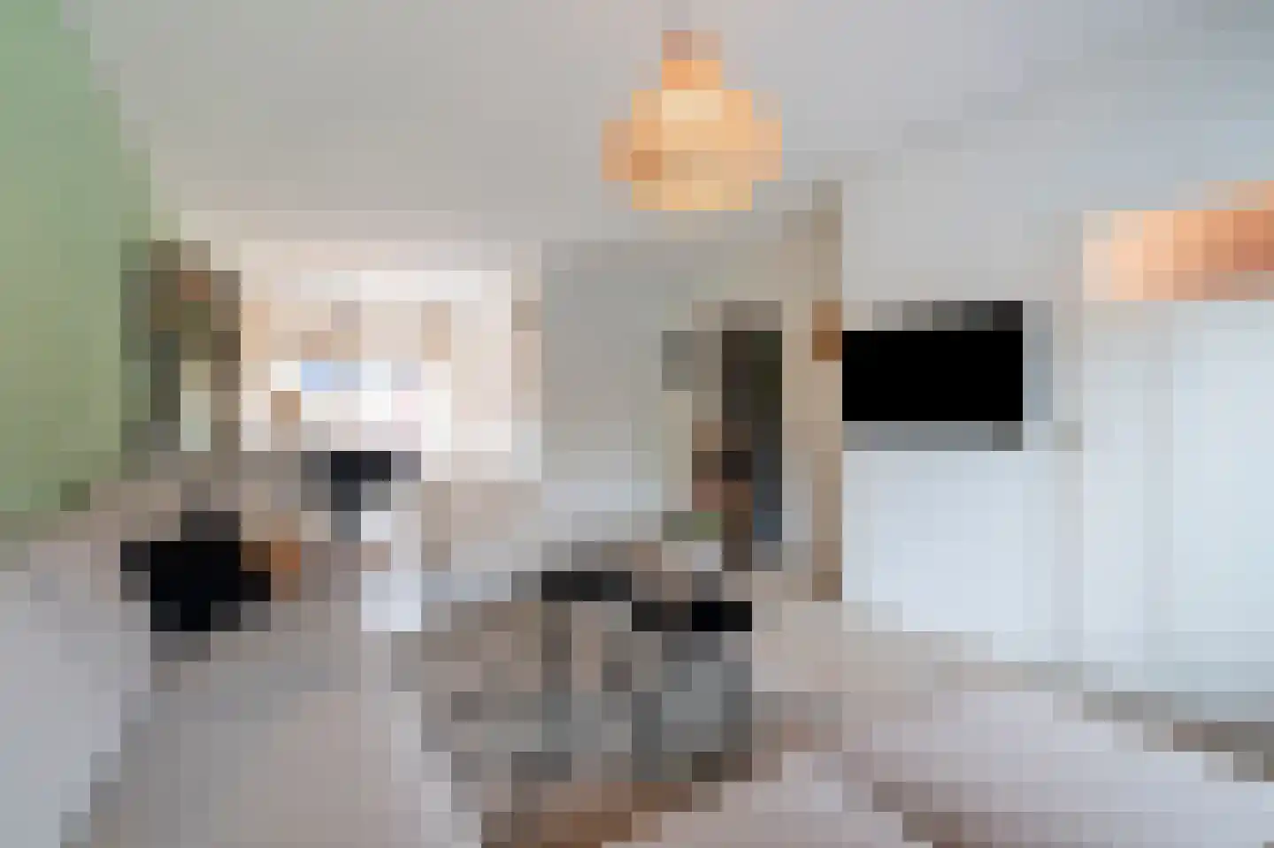 Kruiszwin 3119 Julianadorp thumbnail 6