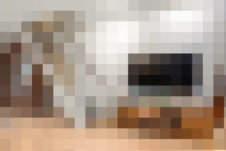 Kruiszwin 3130 Julianadorp thumbnail 13