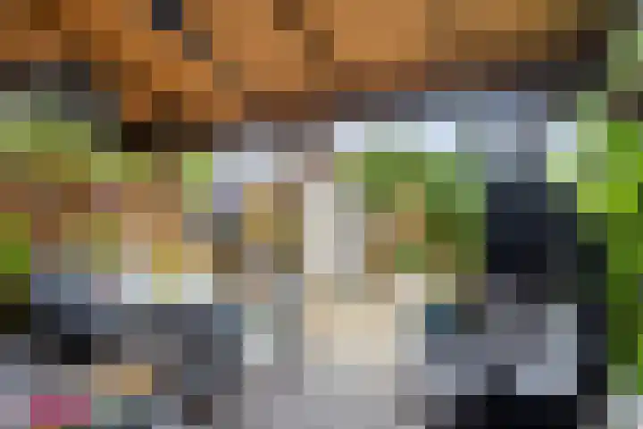 Kruiszwin 3130 Julianadorp thumbnail 17