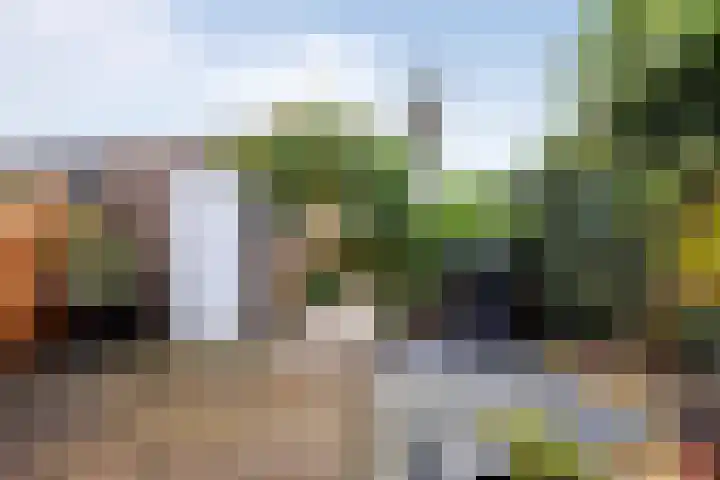 Kruiszwin 3130 Julianadorp thumbnail 21
