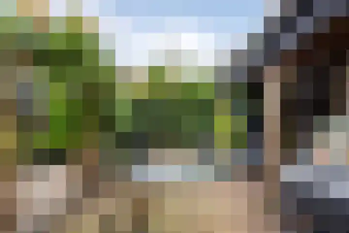 Kruiszwin 3130 Julianadorp thumbnail 22