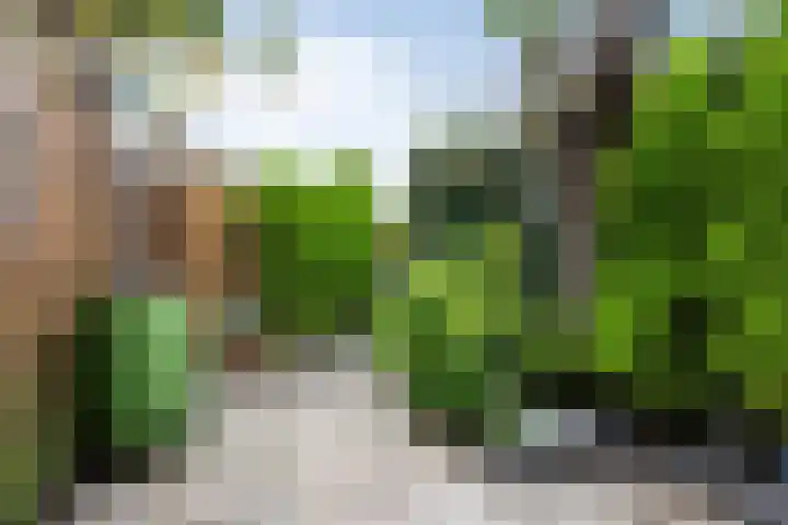 Kruiszwin 3130 Julianadorp thumbnail 23