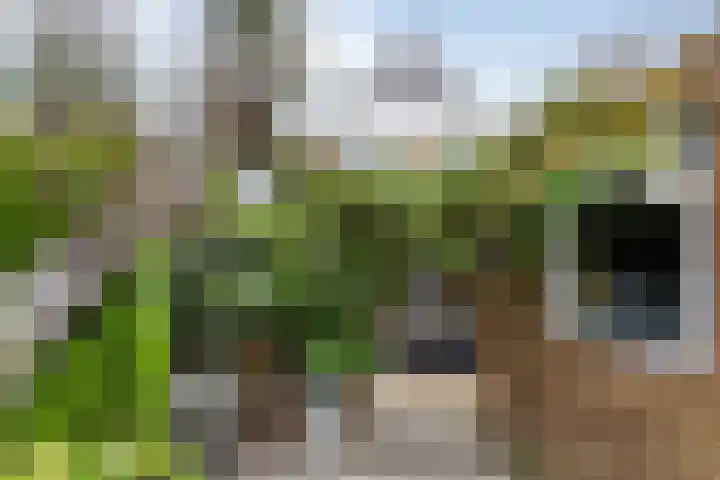 Kruiszwin 3130 Julianadorp thumbnail 24