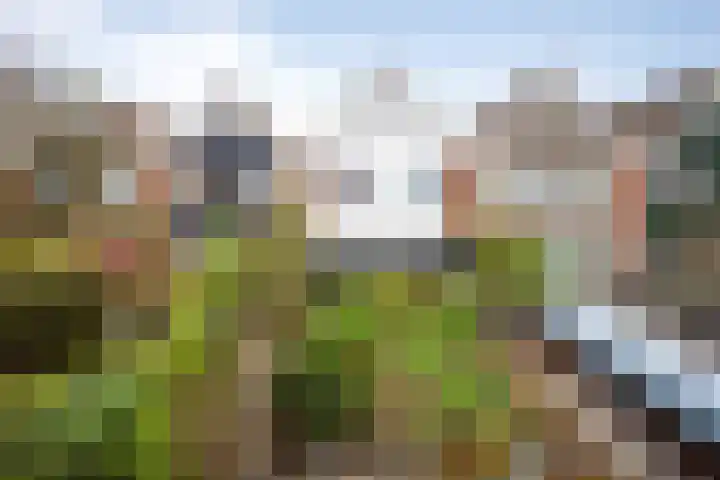 Kruiszwin 3130 Julianadorp thumbnail 25