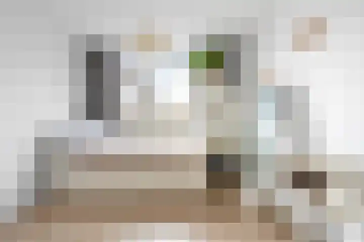 Kruiszwin 3130 Julianadorp thumbnail 30
