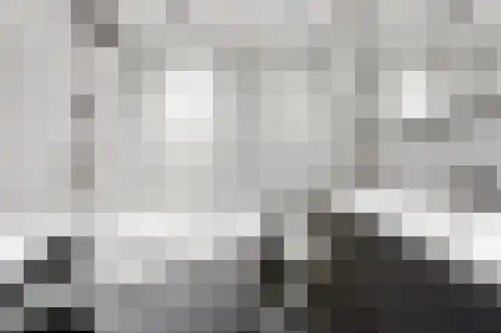 Kruiszwin 3130 Julianadorp thumbnail 35