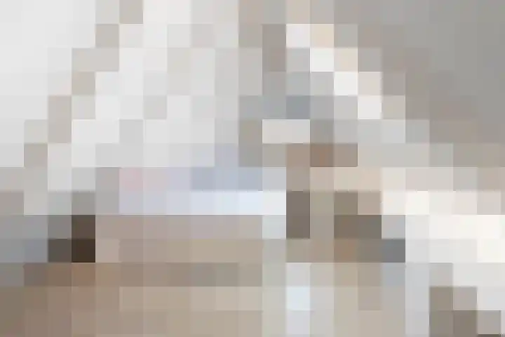 Kruiszwin 3130 Julianadorp thumbnail 41
