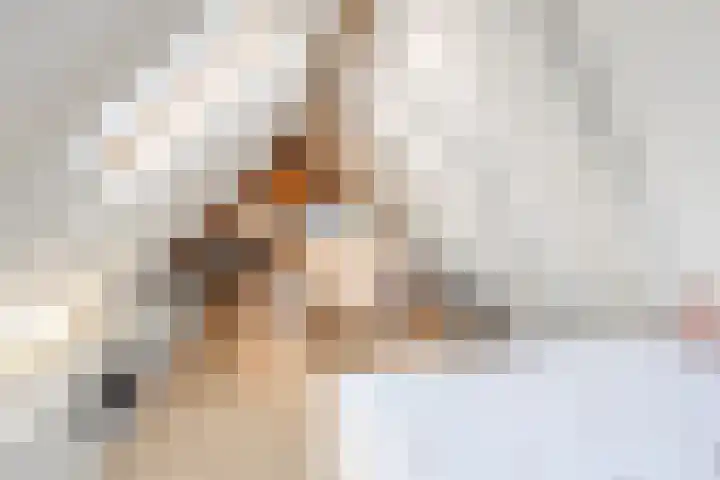 Kruiszwin 3130 Julianadorp thumbnail 42