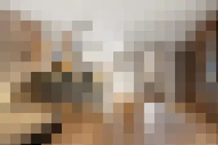 Kruiszwin 3130 Julianadorp thumbnail 7