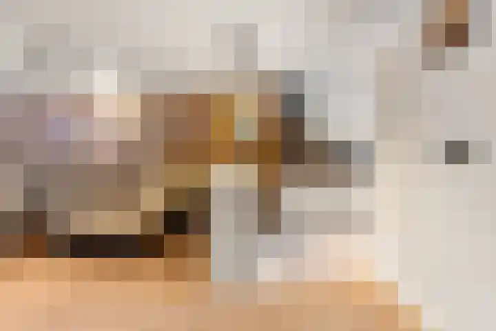 Kruiszwin 3130 Julianadorp thumbnail 8