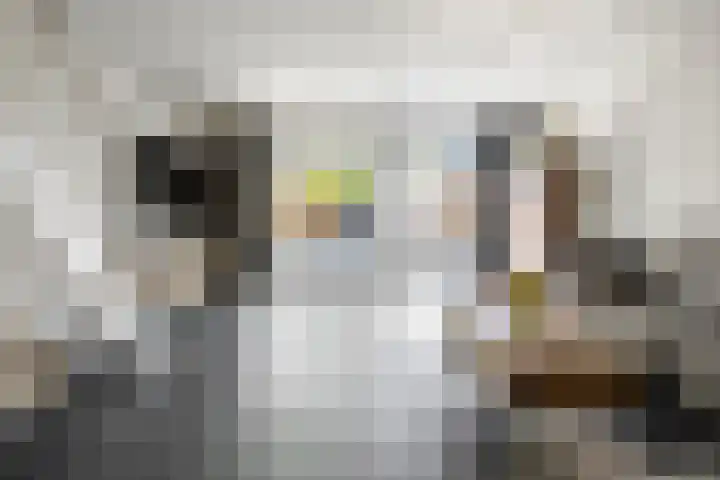 Kruiszwin 3134 Julianadorp thumbnail 13