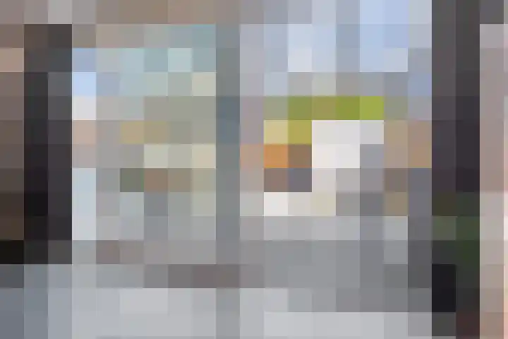 Kruiszwin 3134 Julianadorp thumbnail 14