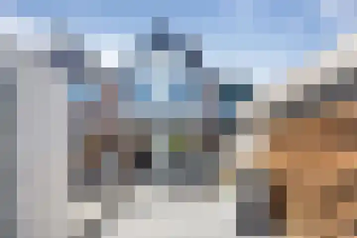 Kruiszwin 3134 Julianadorp thumbnail 16