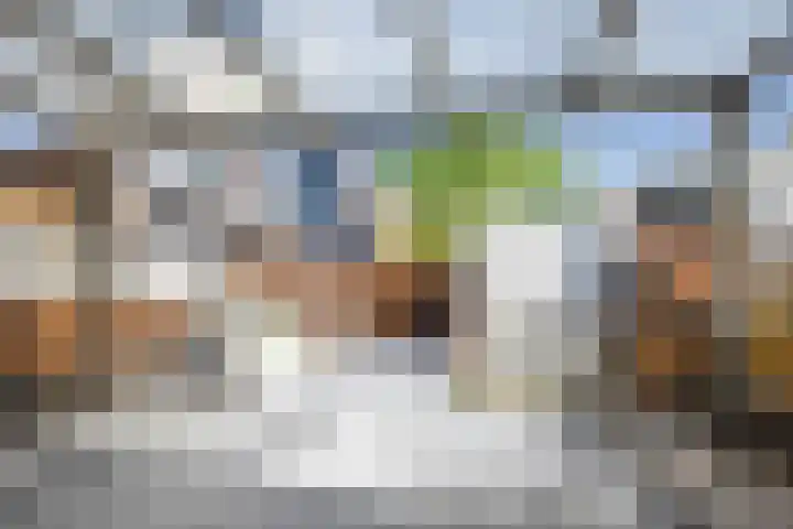 Kruiszwin 3134 Julianadorp thumbnail 17