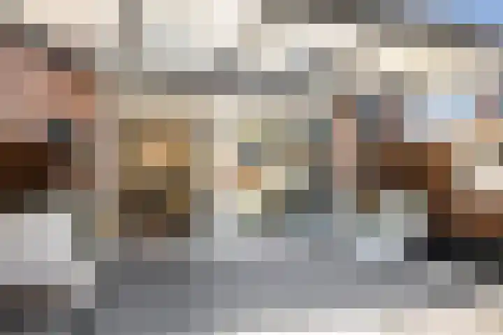 Kruiszwin 3134 Julianadorp thumbnail 18