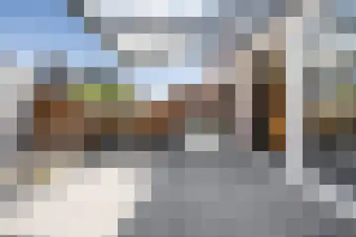 Kruiszwin 3134 Julianadorp thumbnail 19
