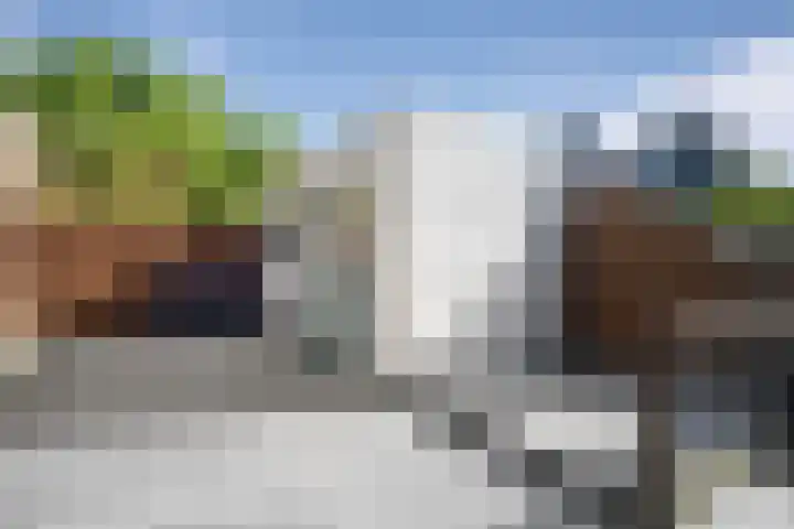 Kruiszwin 3134 Julianadorp thumbnail 21
