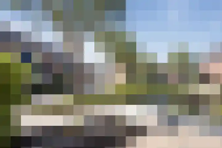 Kruiszwin 3134 Julianadorp thumbnail 4