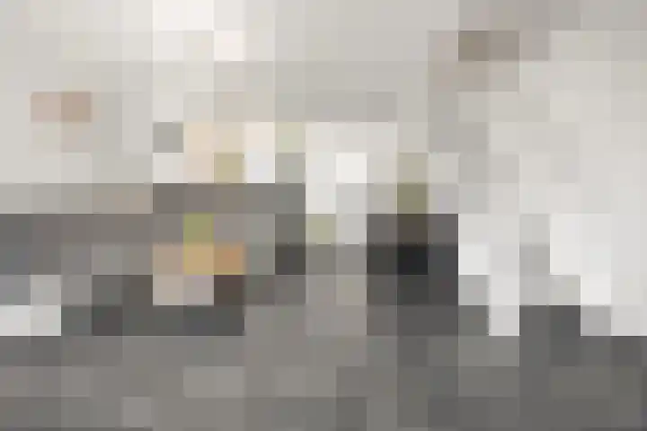 Kruiszwin 3134 Julianadorp thumbnail 7