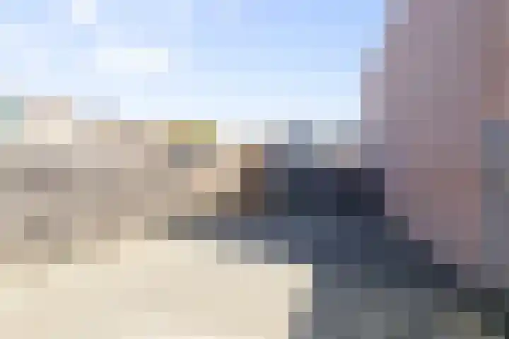 Kruiszwin 3140 Julianadorp thumbnail 13