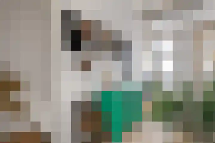 Kruiszwin 3140 Julianadorp thumbnail 14