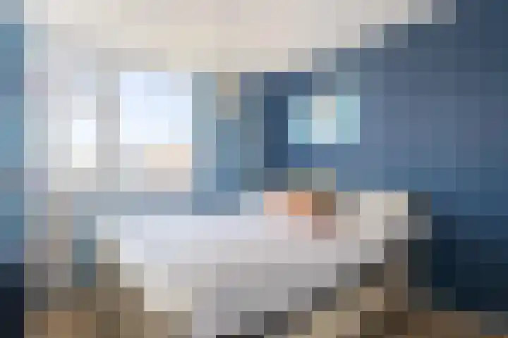 Kruiszwin 3140 Julianadorp thumbnail 17
