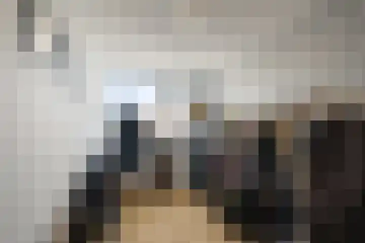 Kruiszwin 3140 Julianadorp thumbnail 19