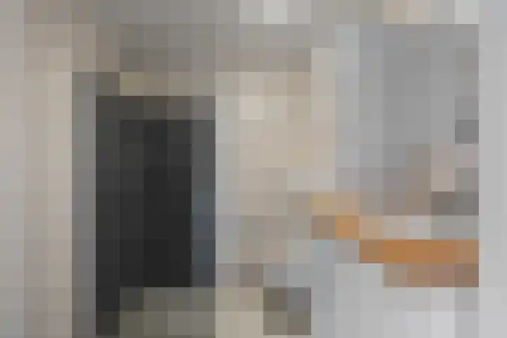 Kruiszwin 3140 Julianadorp thumbnail 20