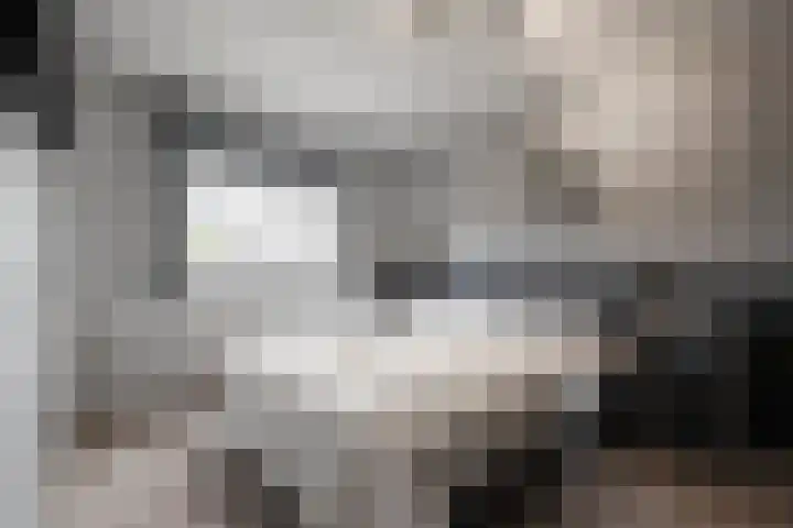 Kruiszwin 3323 Julianadorp thumbnail 13