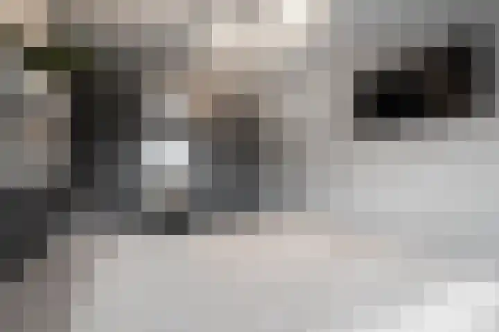 Kruiszwin 3323 Julianadorp thumbnail 14