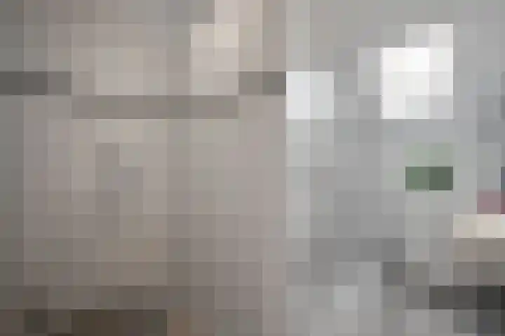 Kruiszwin 3323 Julianadorp thumbnail 19