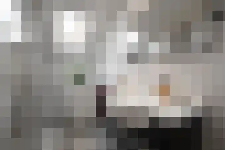 Kruiszwin 3323 Julianadorp thumbnail 20