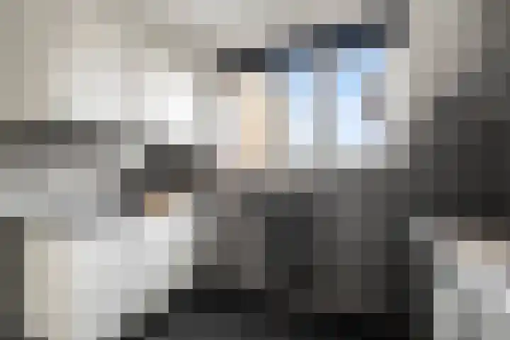 Kruiszwin 3323 Julianadorp thumbnail 9