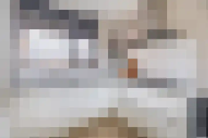 Kruiszwin 3607 Julianadorp thumbnail 10