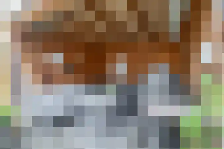 Kruiszwin 3607 Julianadorp thumbnail 14