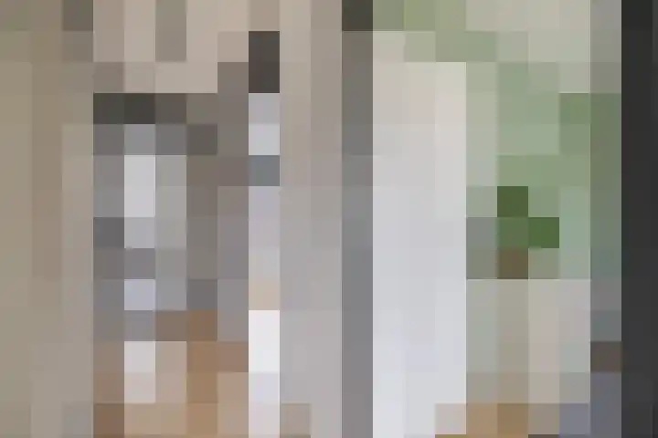 Kruiszwin 3607 Julianadorp thumbnail 15