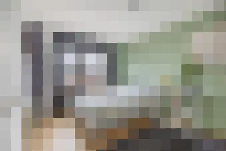 Kruiszwin 3607 Julianadorp thumbnail 16