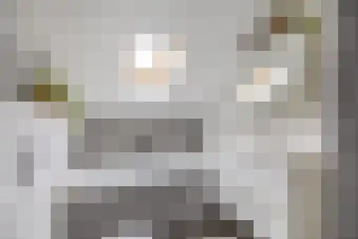 Kruiszwin 3607 Julianadorp thumbnail 21