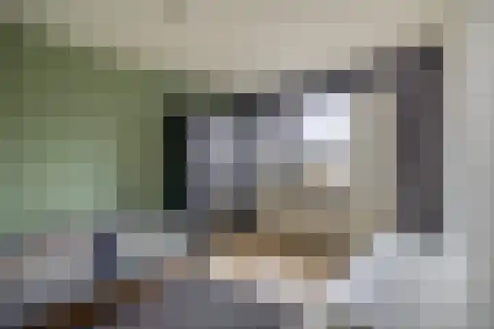 Kruiszwin 3607 Julianadorp thumbnail 22