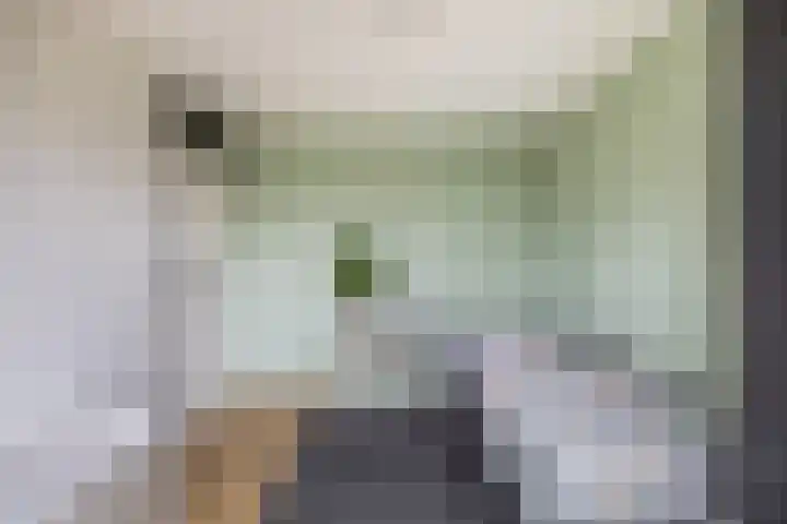 Kruiszwin 3607 Julianadorp thumbnail 23