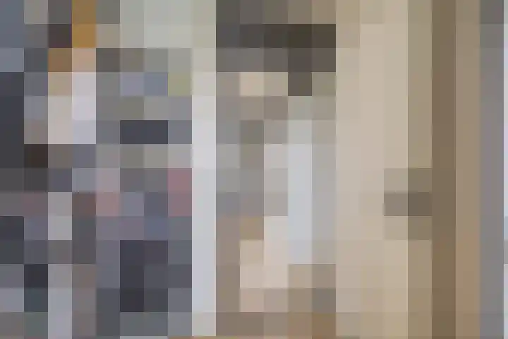 Kruiszwin 3607 Julianadorp thumbnail 25